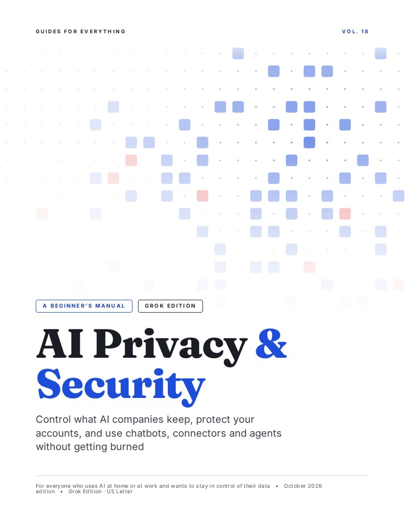 Cover of AI Privacy & Security (Grok Edition)